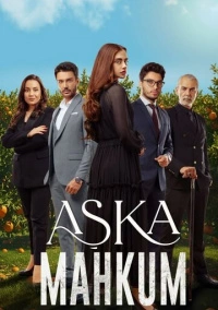 Заключенный любви (2025)